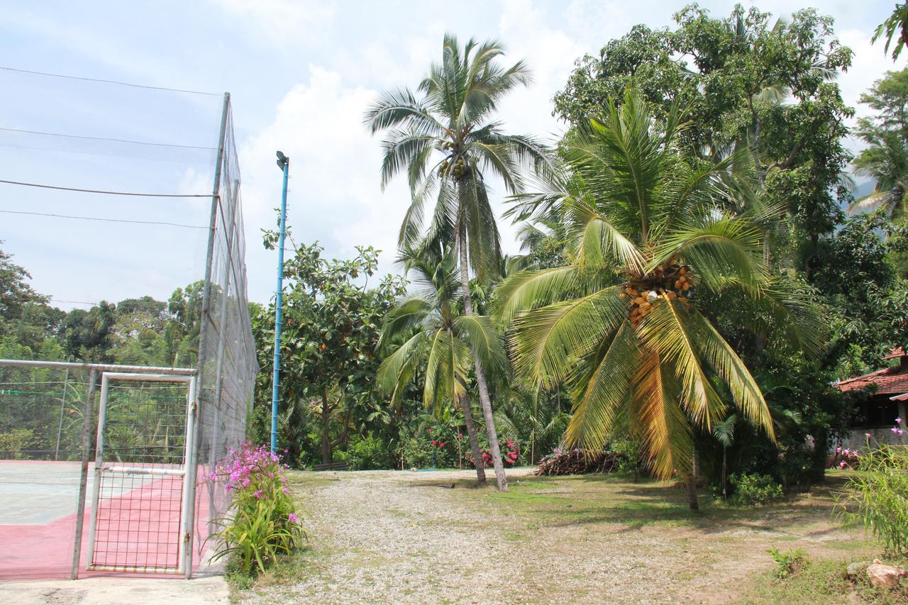 Anura Guest 3*