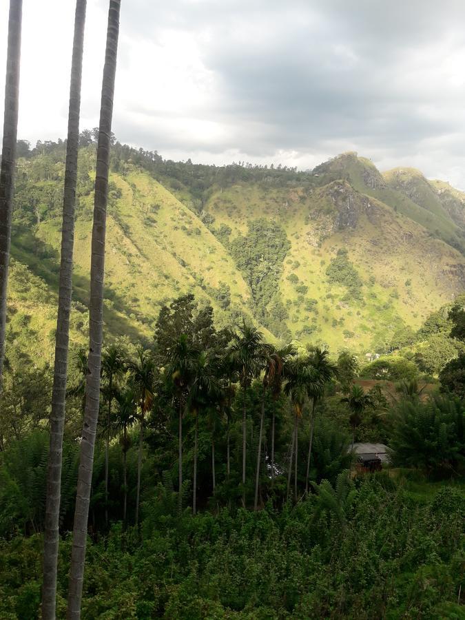 Homestay Adam's Apple