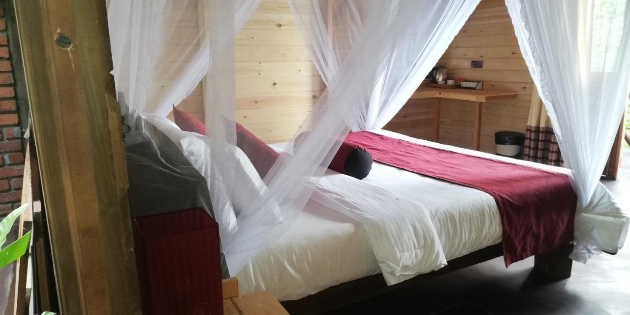 Guest house Idyll Homestay *