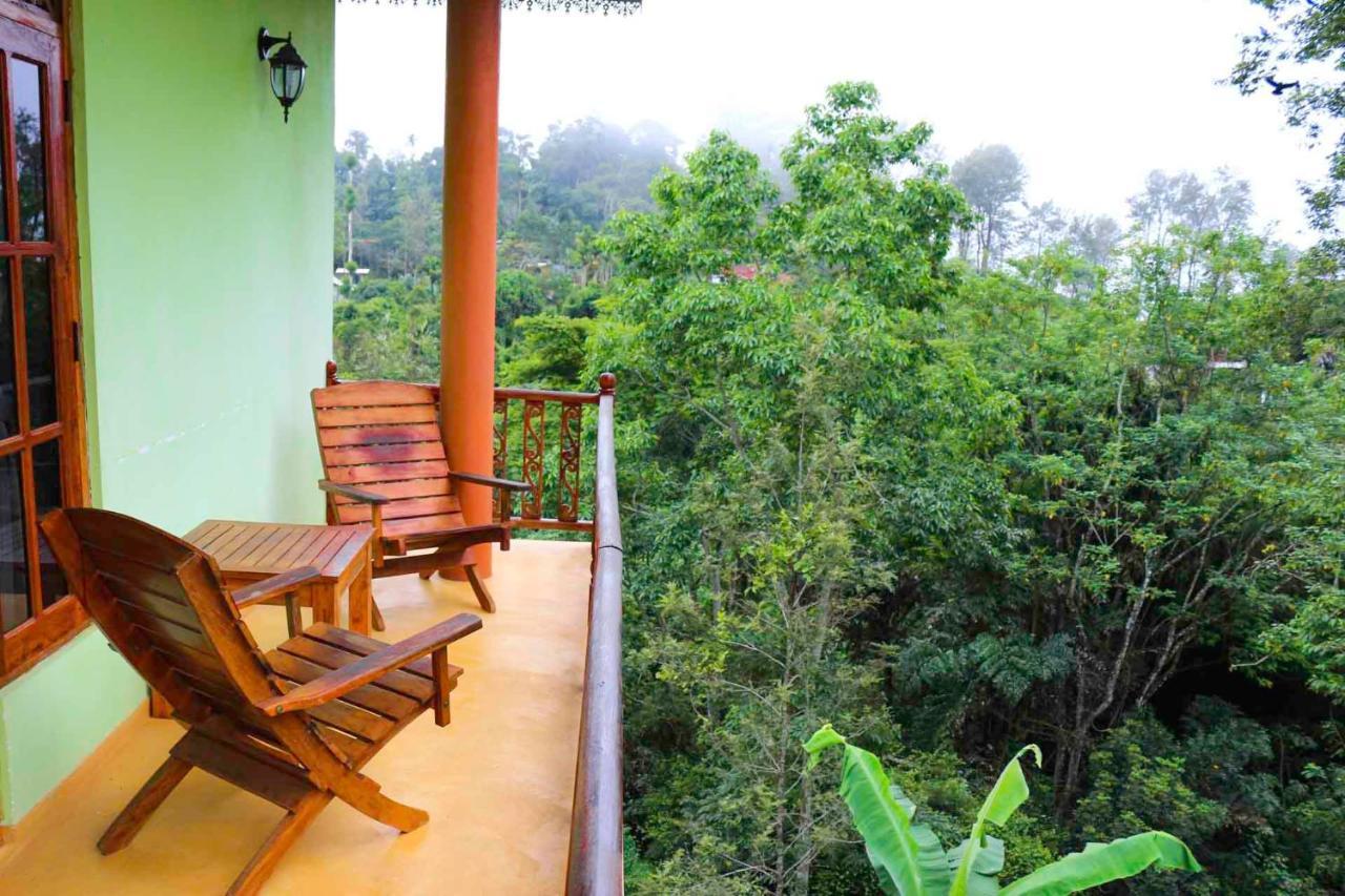 Tea Forest Ella