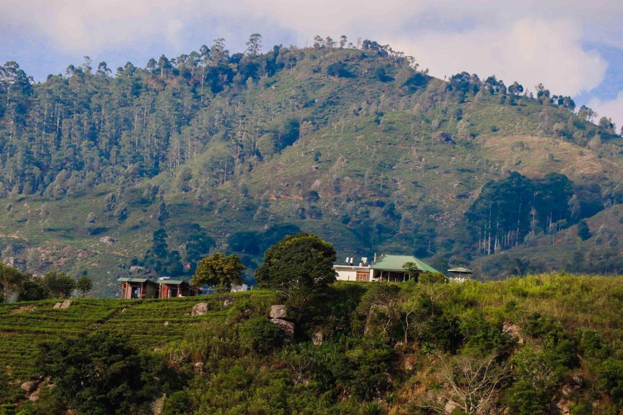 Guest house Cool Mount Ella