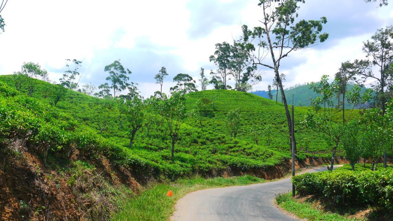Nature Walk Homestay Ella