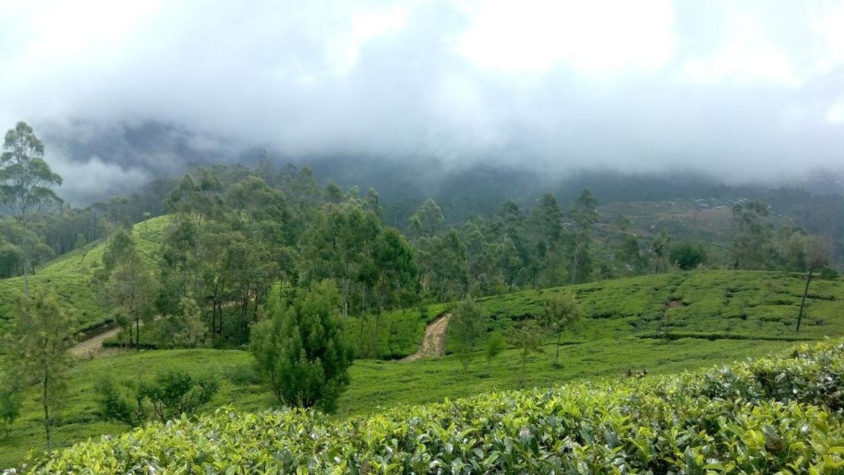Villa Sithara Estate Ella