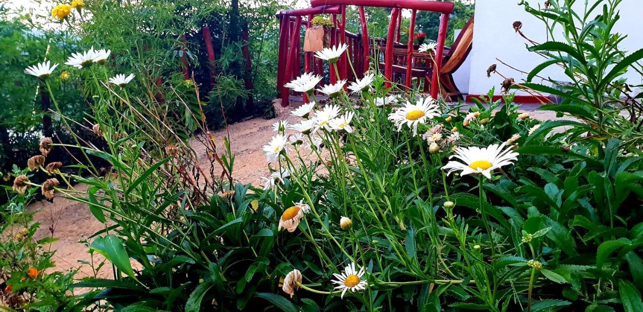 Adannz Bed & Breakfast 3*