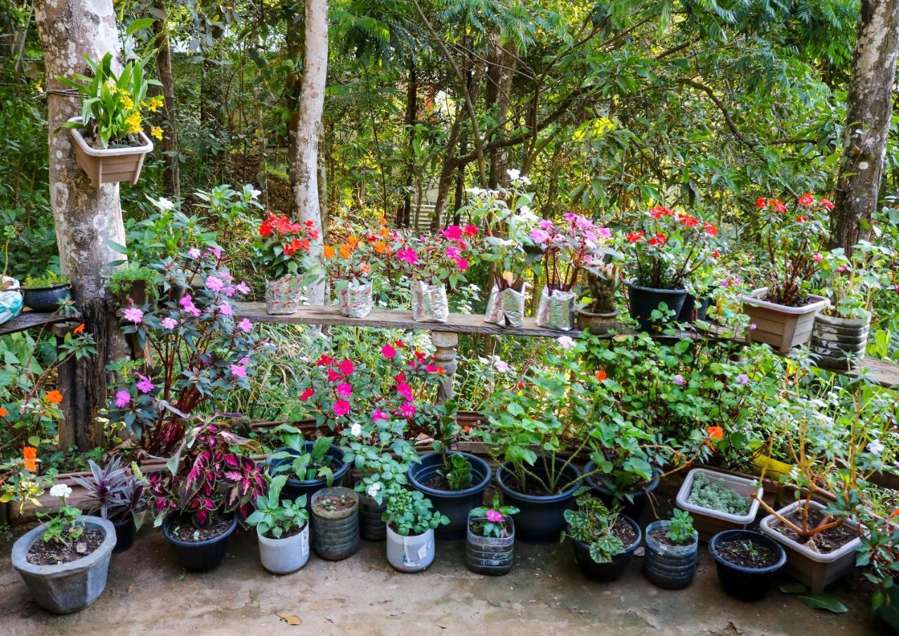 Secret Nest Homestay