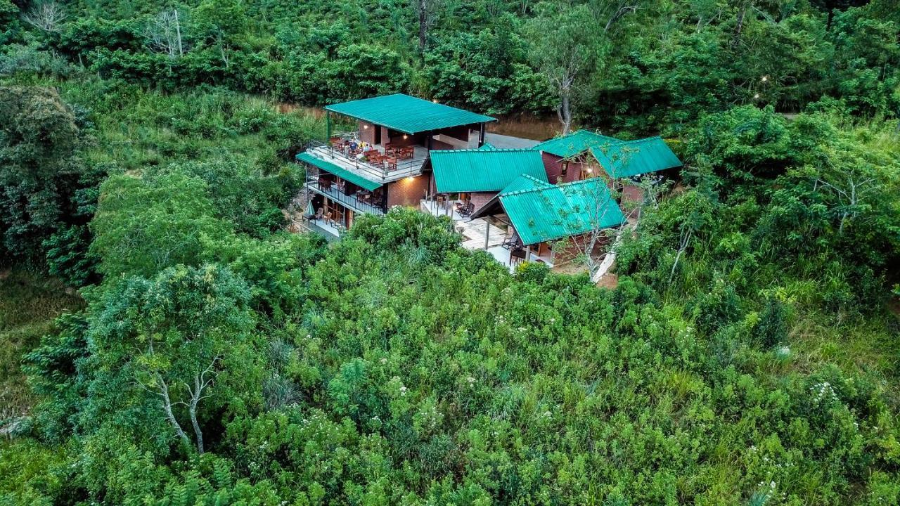 Guest house Wild *