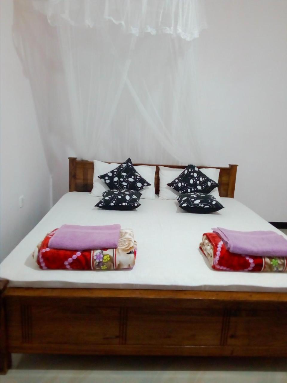 Windy Nest Homestay *