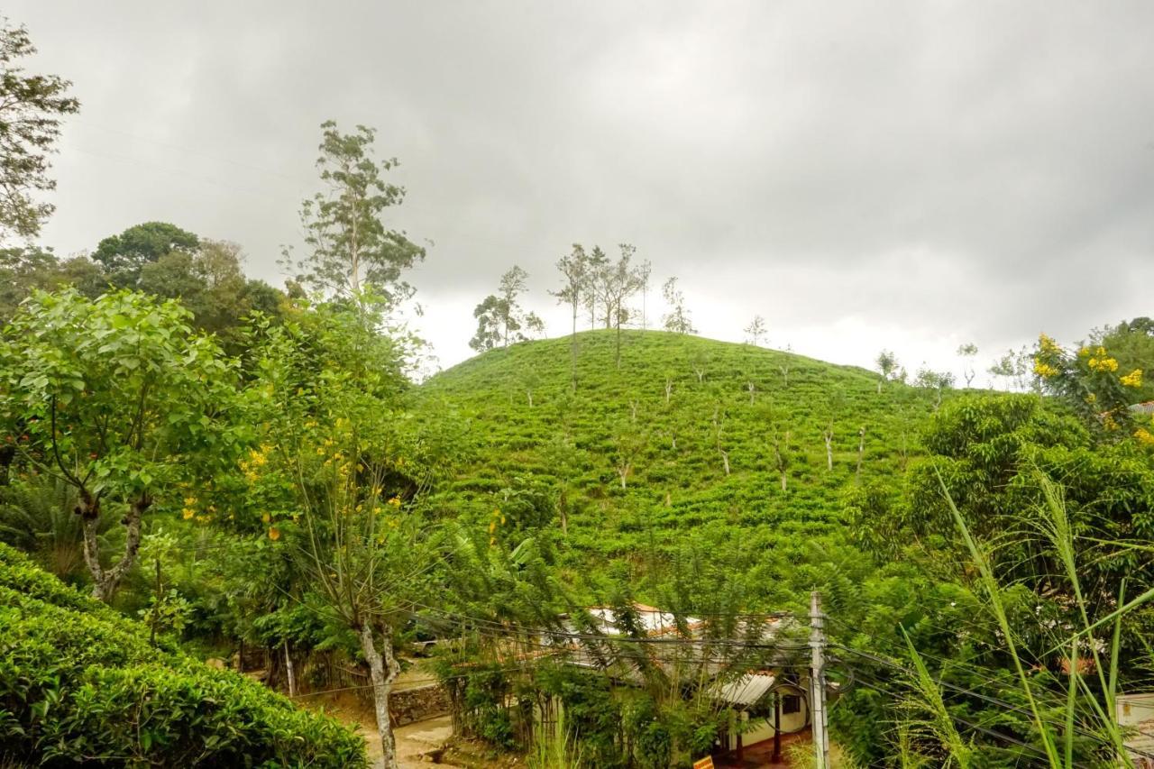 Sleep Cheap Hostel *