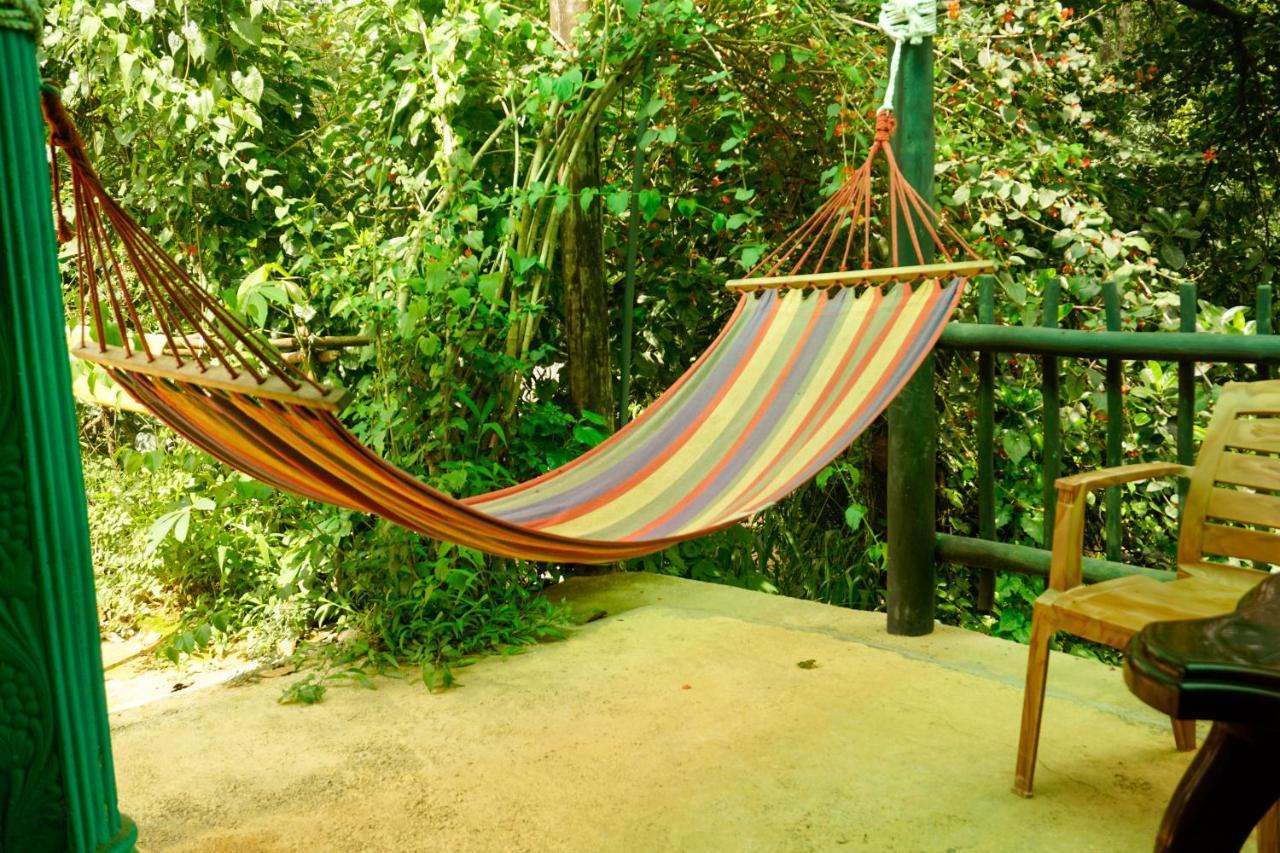 Sleep Cheap Hostel