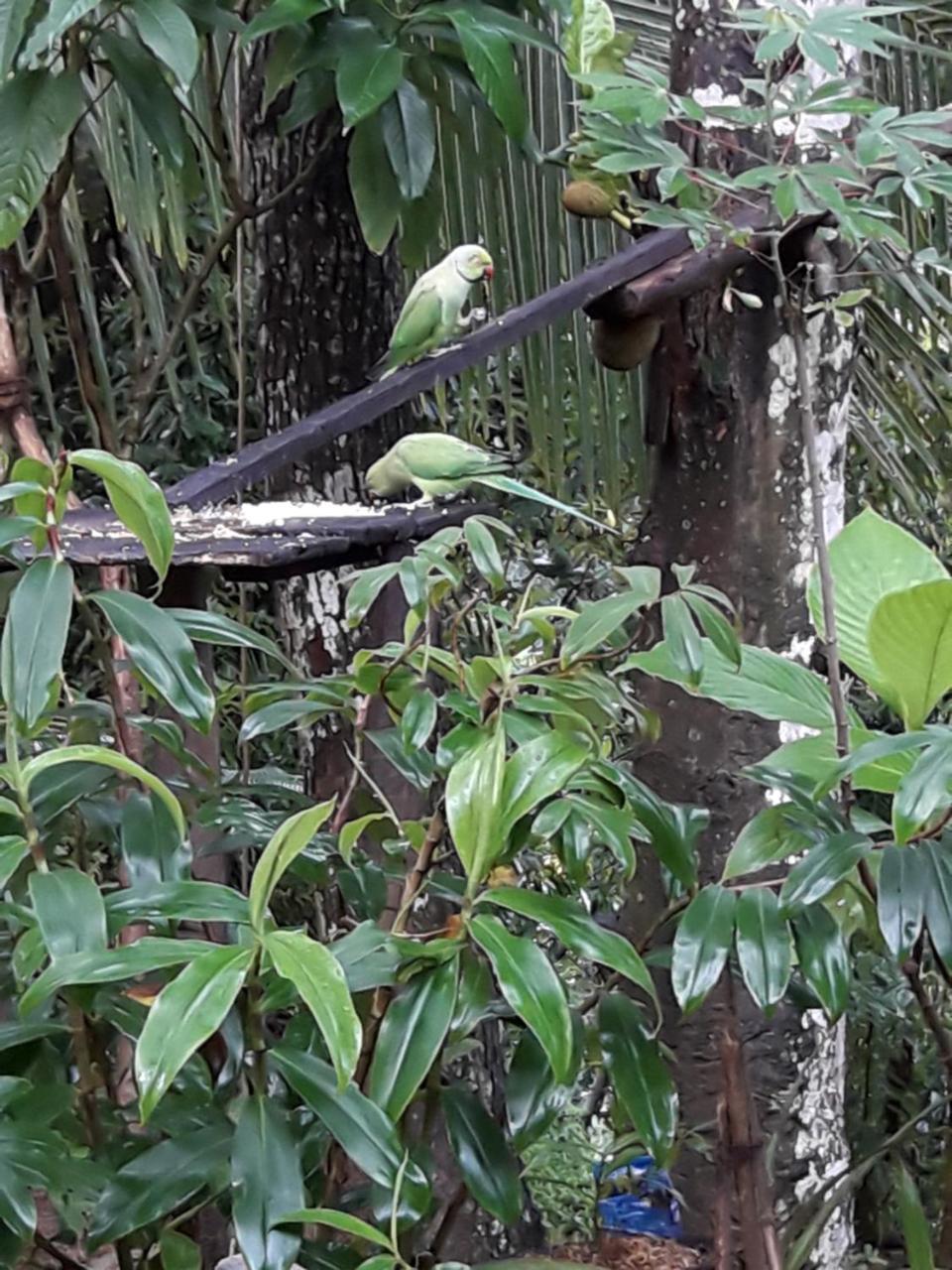 Secret Paradise Guest house