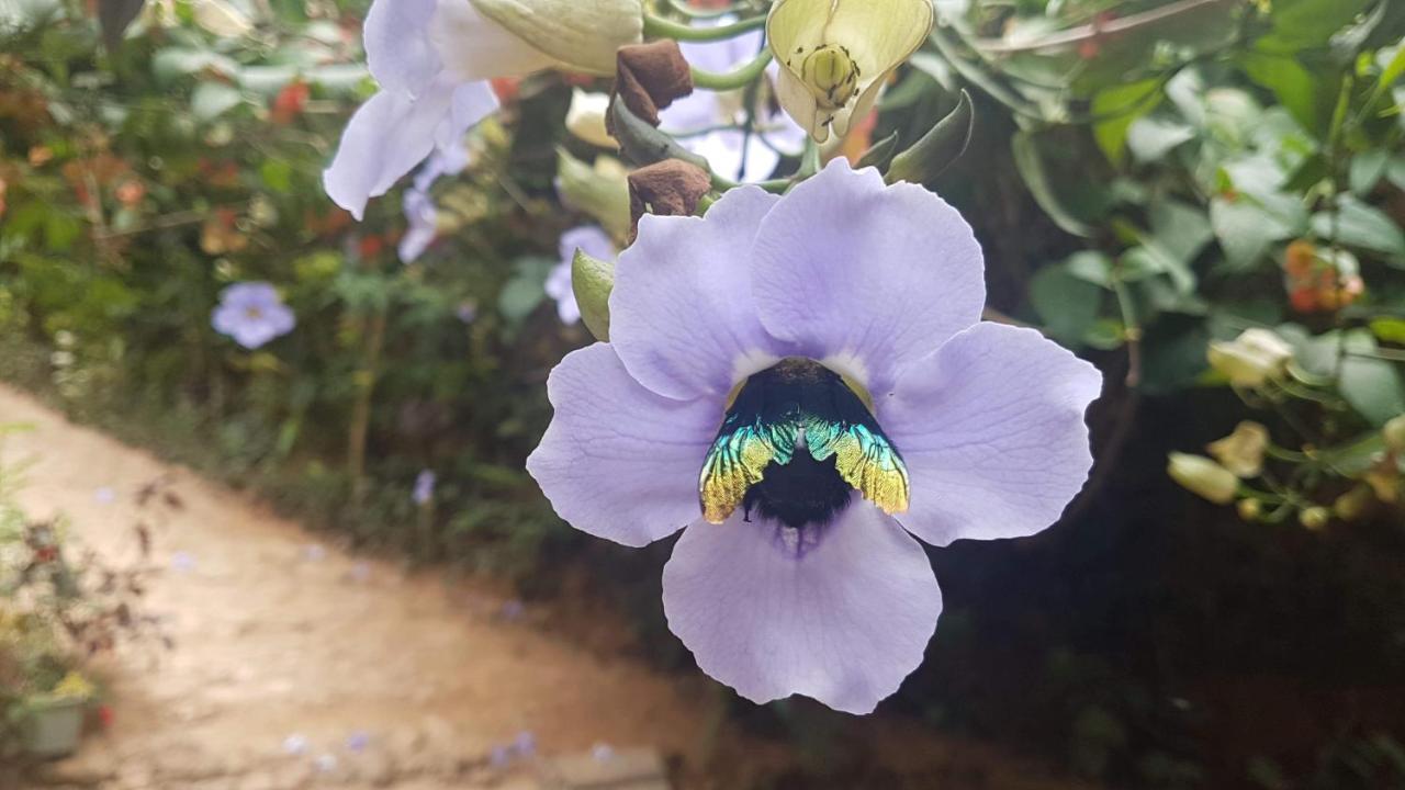 Secret Paradise