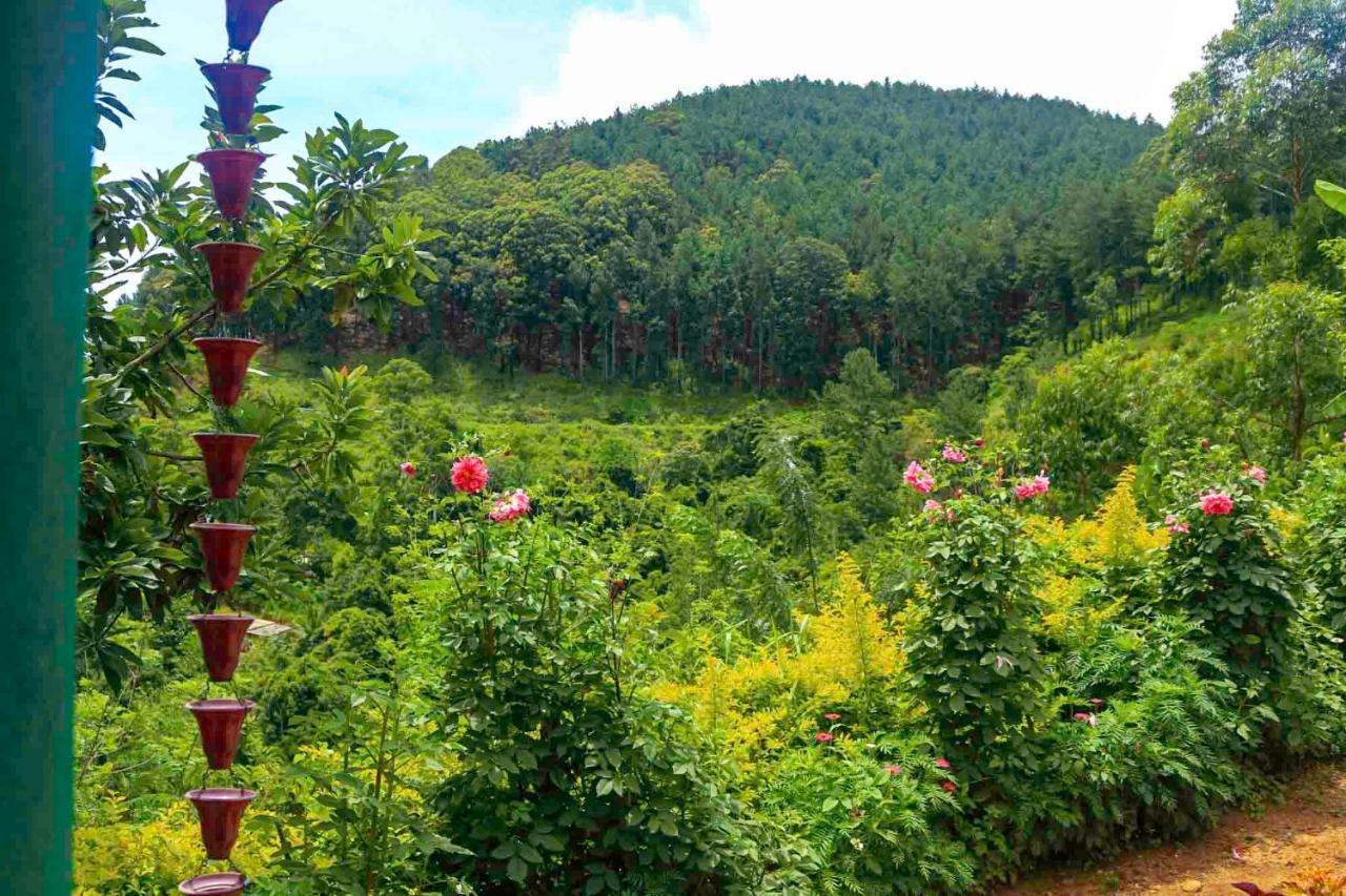 Homestay Yoho Nilmini Ella
