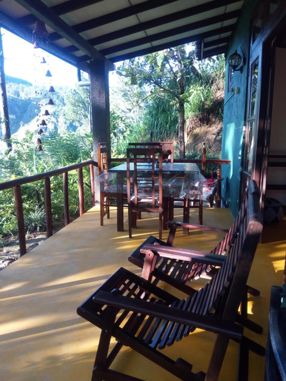 Dream View