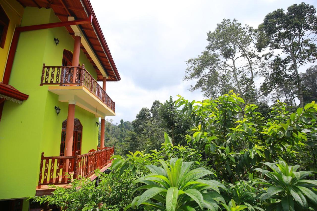 Guest house Tea Forest 2*