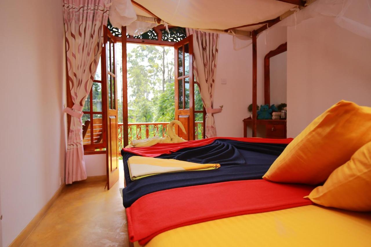 Guest house Tea Forest 2*