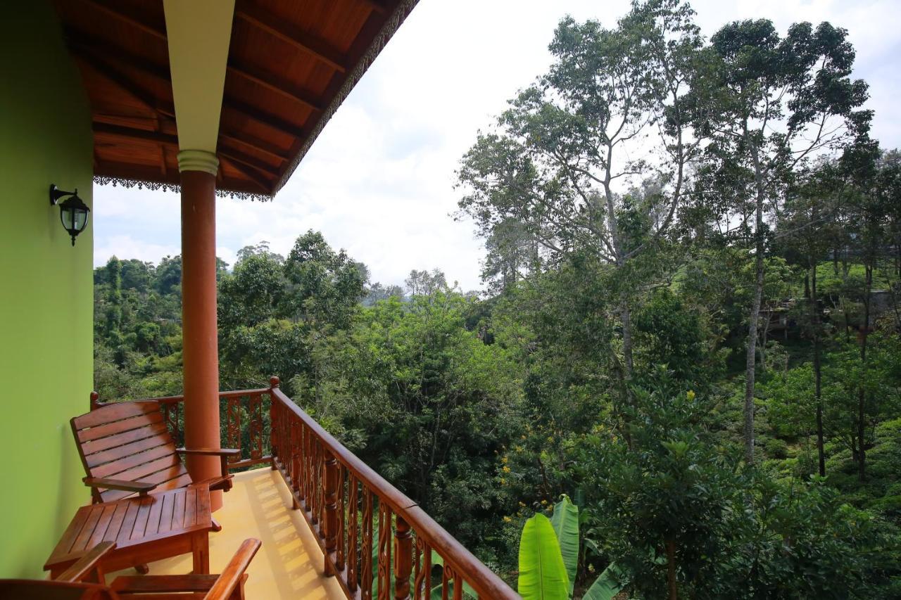 Guest house Tea Forest