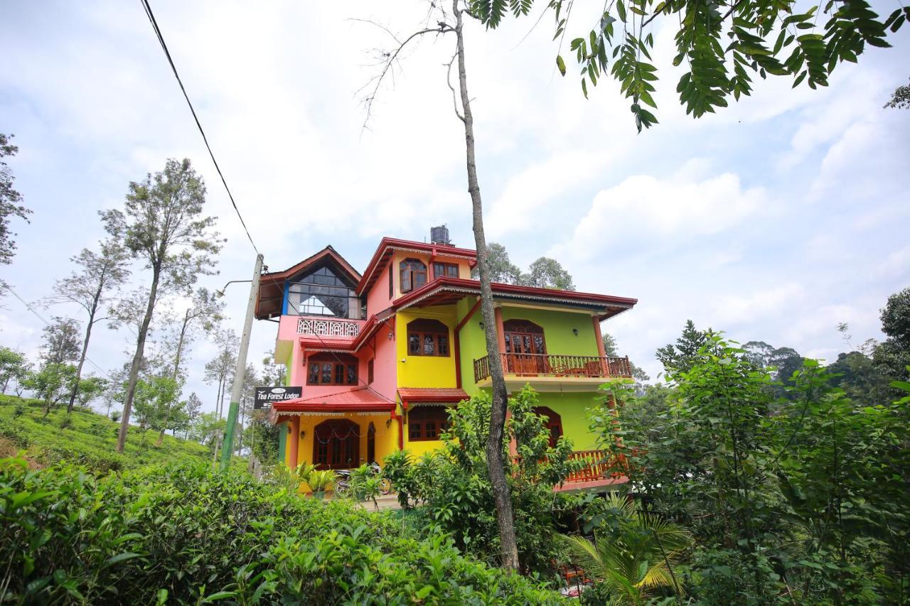 Tea Forest Guest house 2*