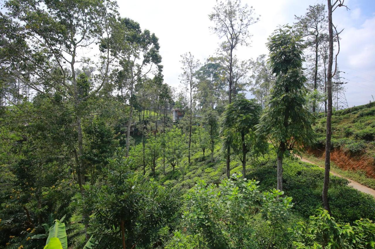 Guest house Tea Forest