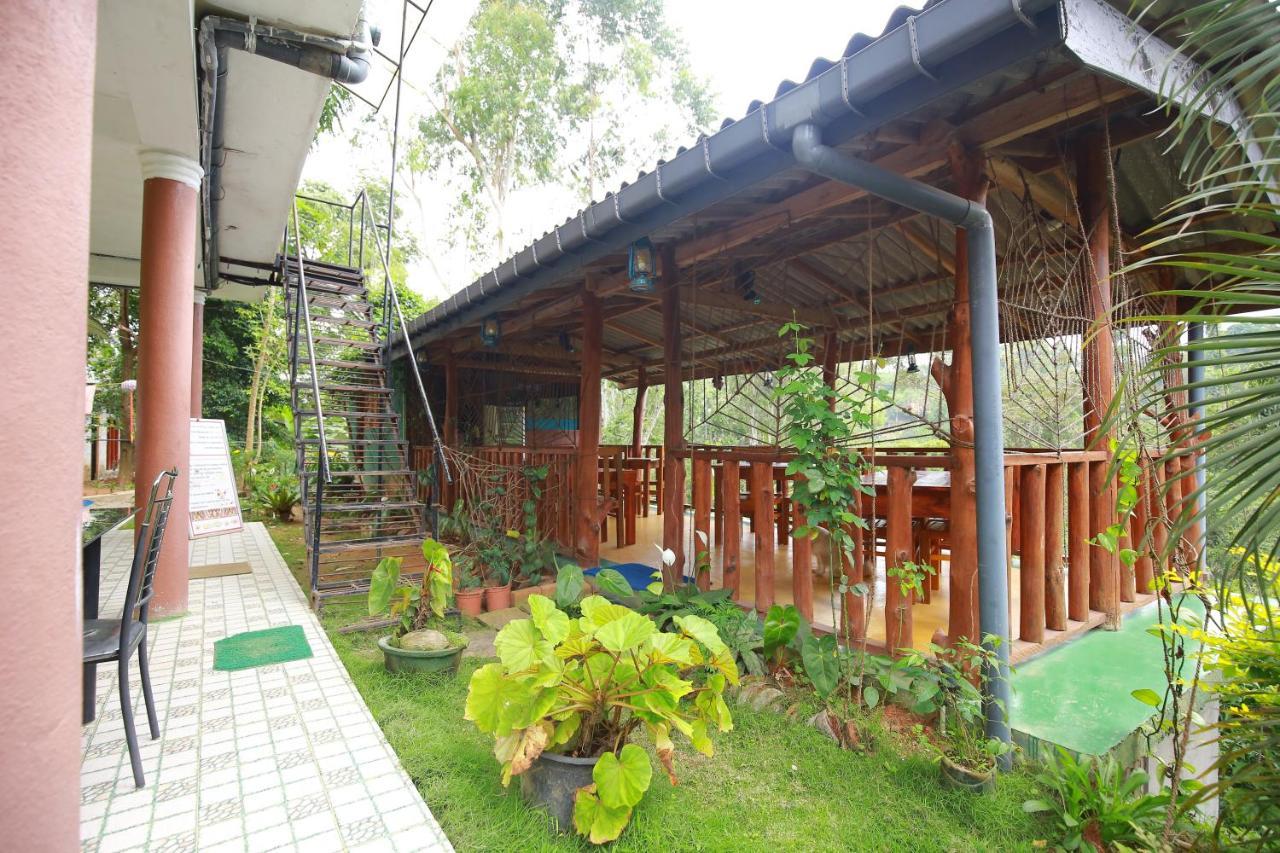 Tea Forest
