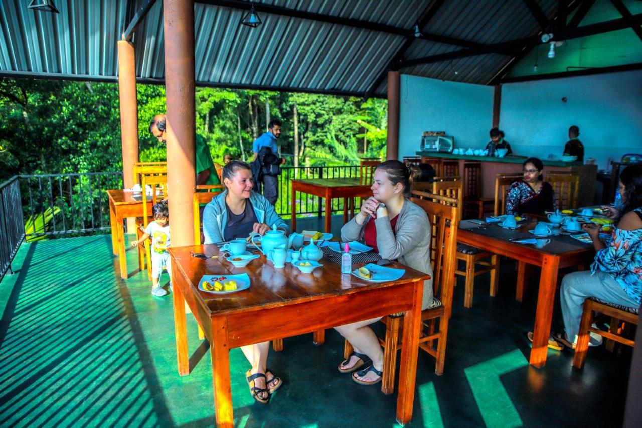 Nature View Guest house 3*