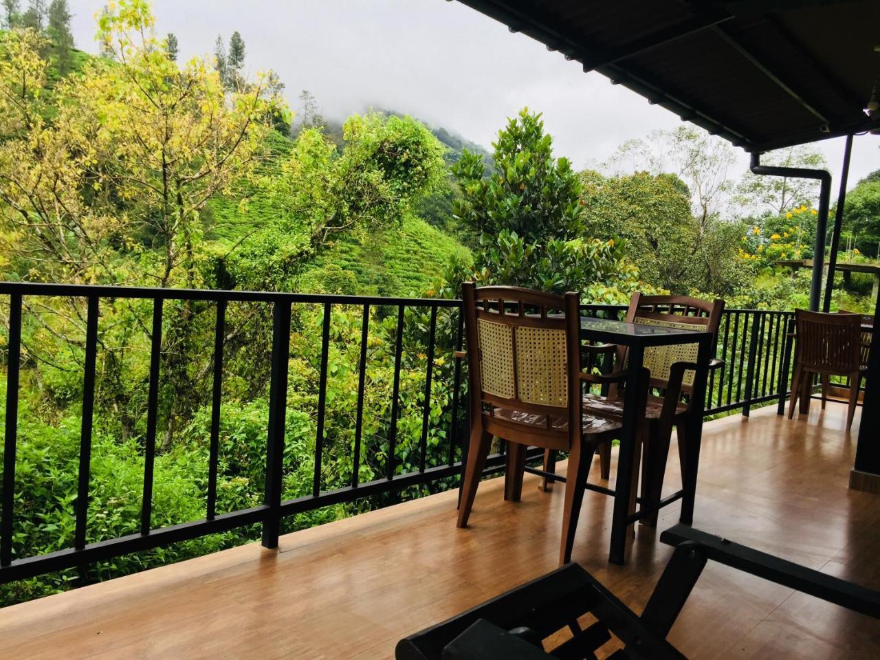 Guest house Wild