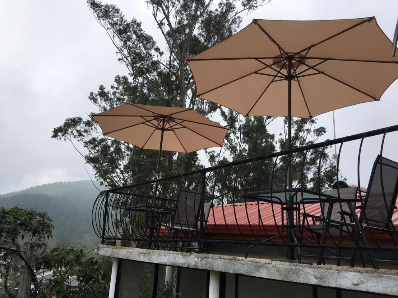 Bed & Breakfast Slon White Elephant