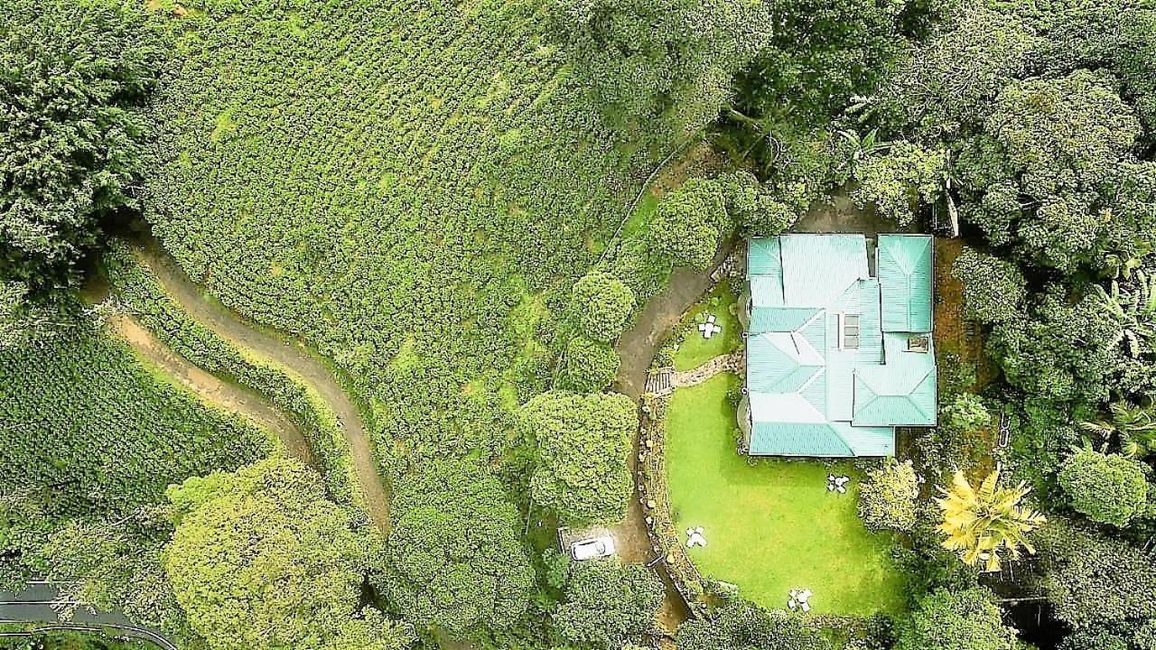 Sithara Estate * Ella