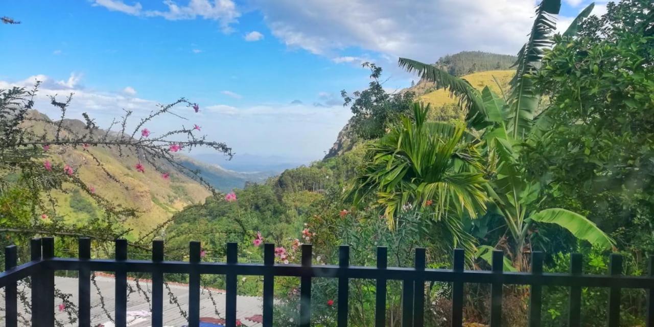 Divine View *