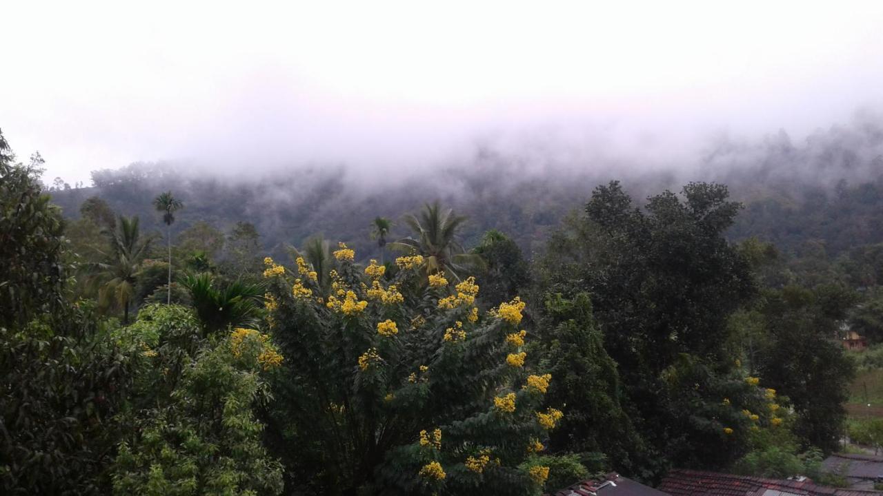 Sadula Homestay *