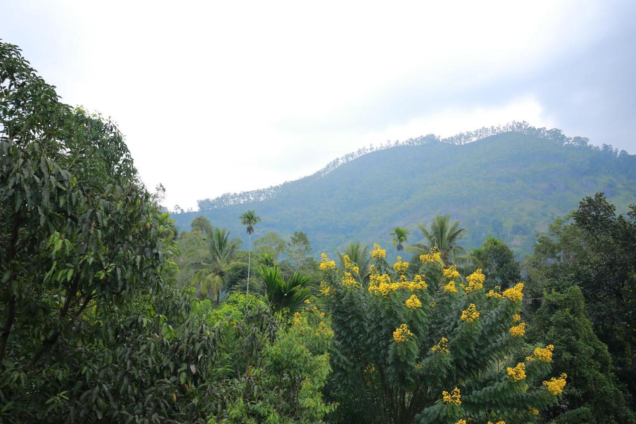 Sadula Homestay *