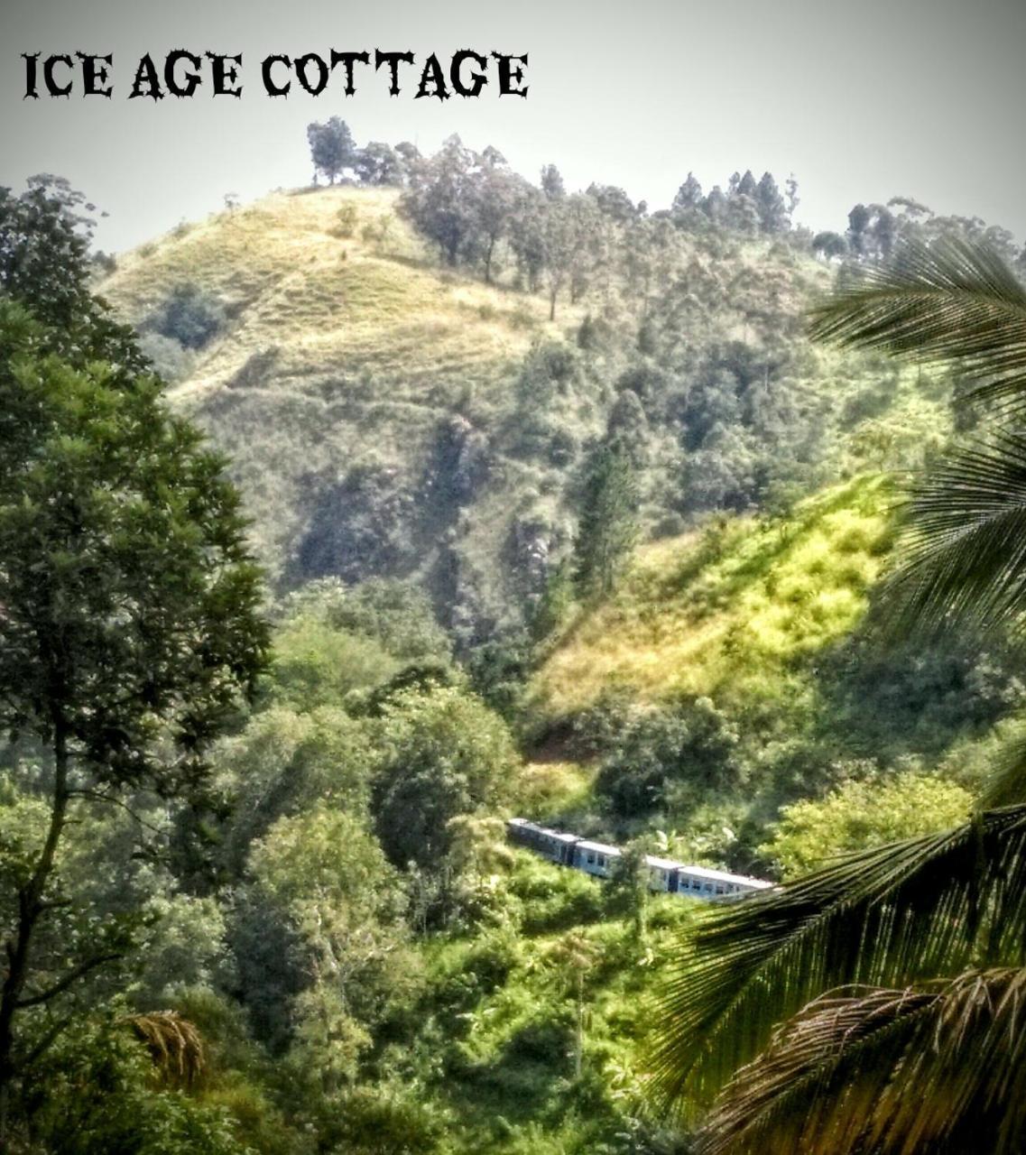 Aparthotel Ice Age