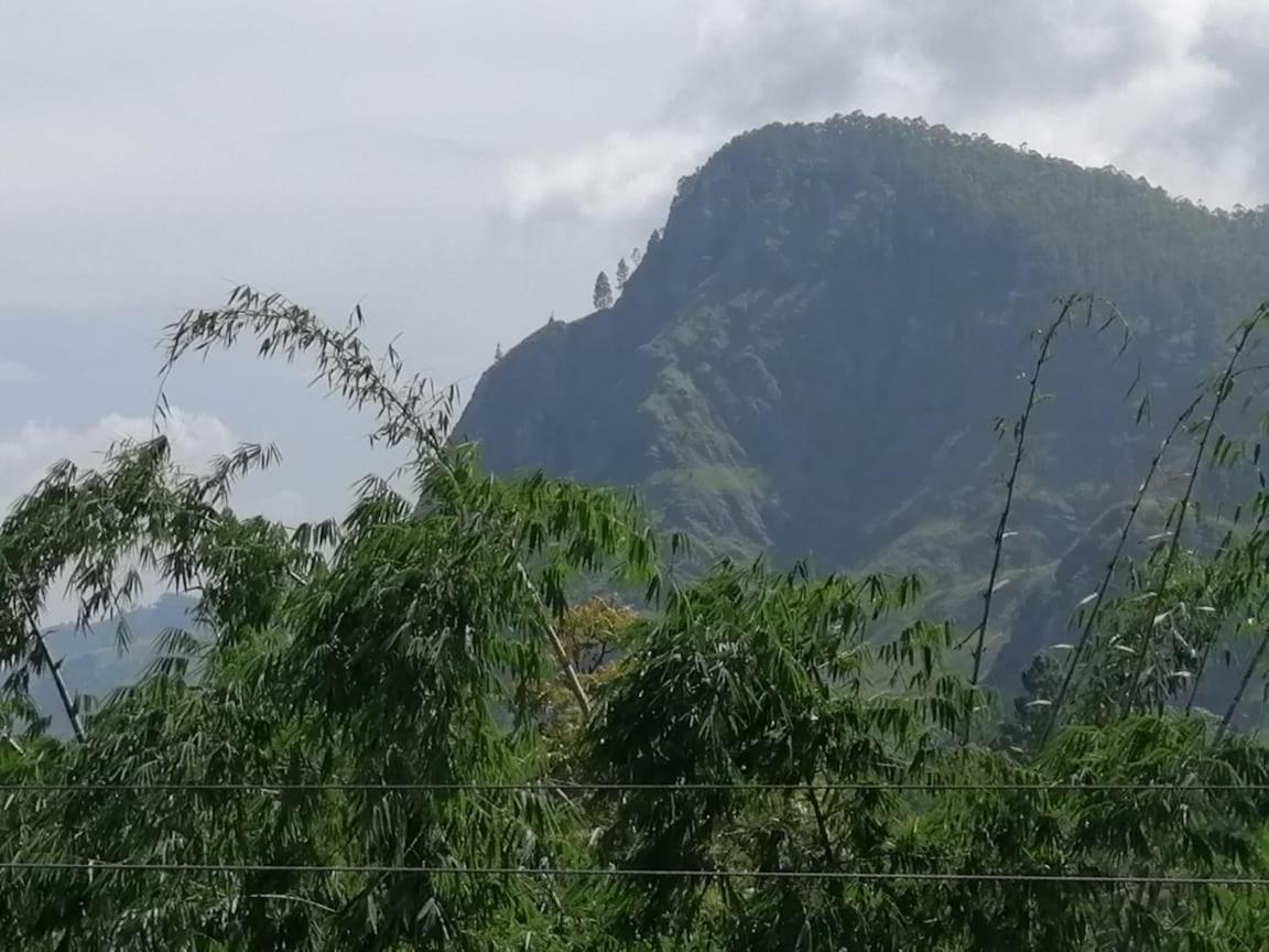 Homestay Little Paradise Ella