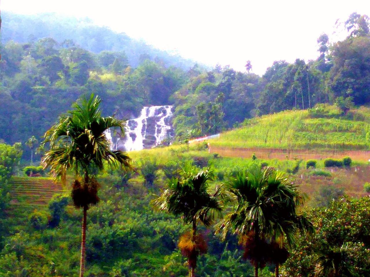 Homestay Marvellous *