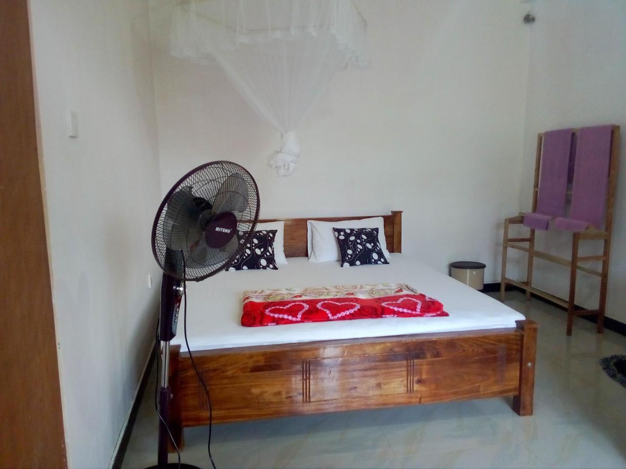 Windy Nest Homestay *