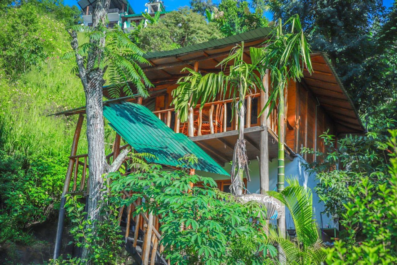 Bamboo 3*