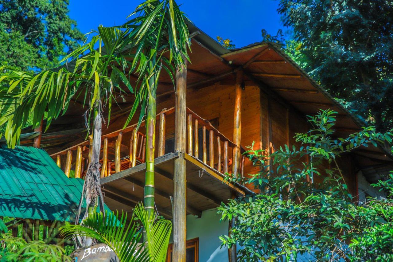 Bed & Breakfast Bamboo