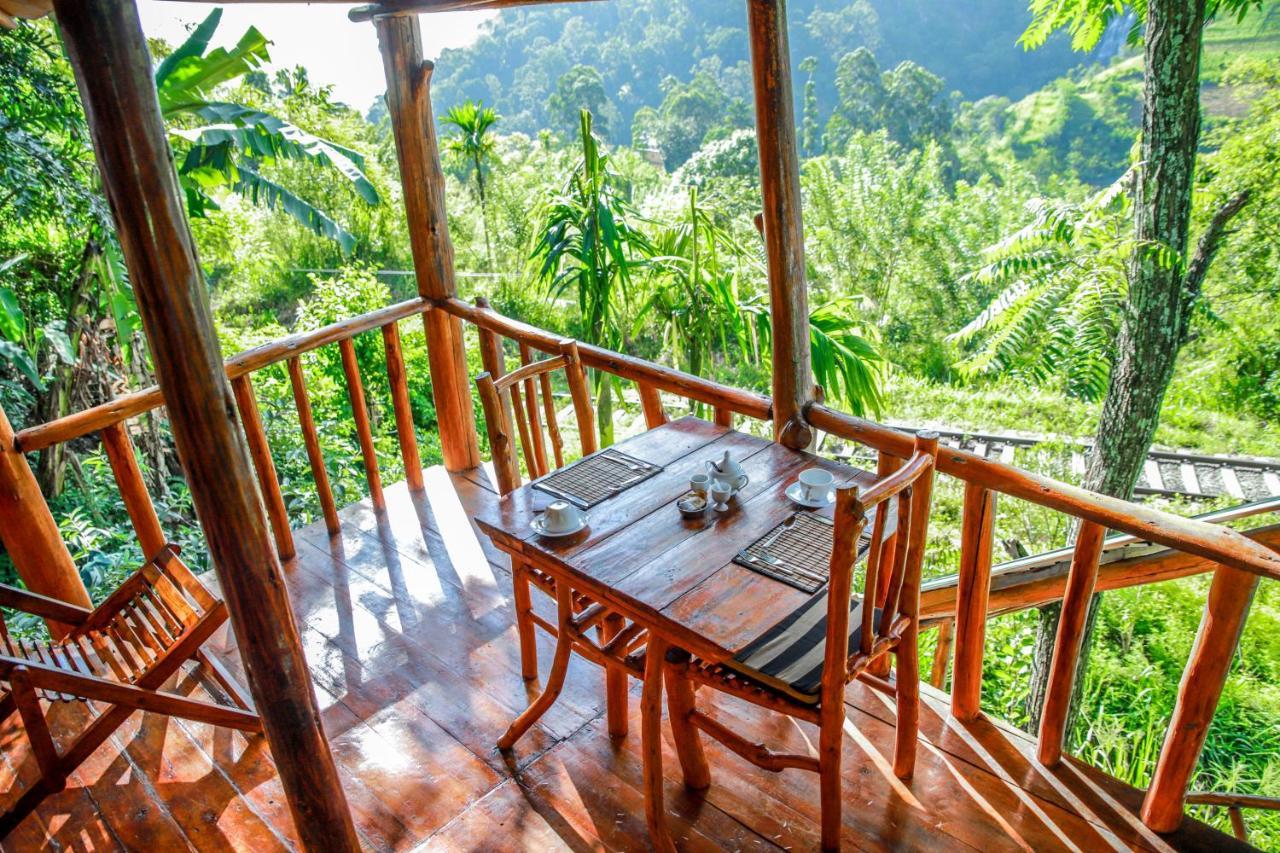 Bamboo Ella
