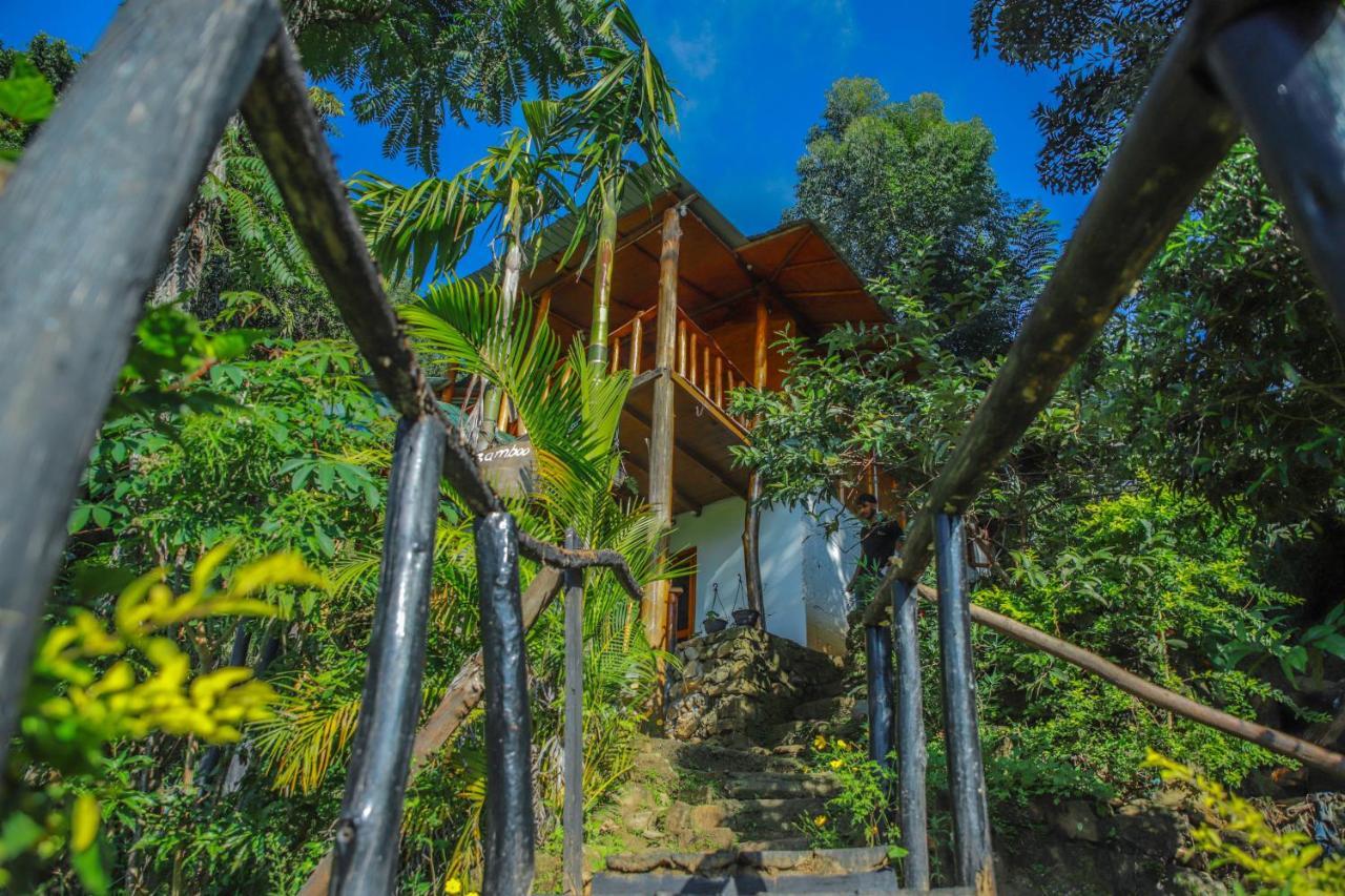 Bamboo 3* Ella