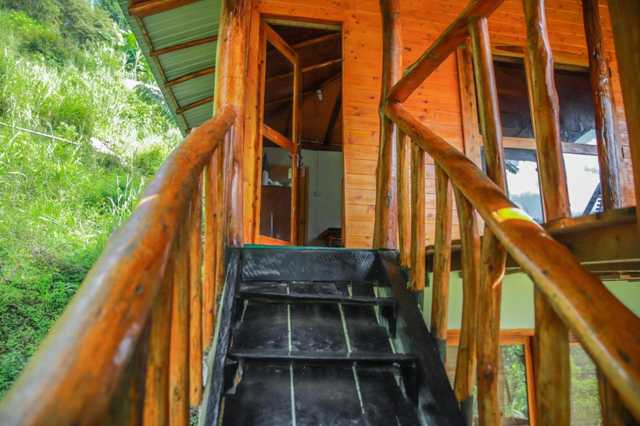 Bamboo Bed & Breakfast 3*