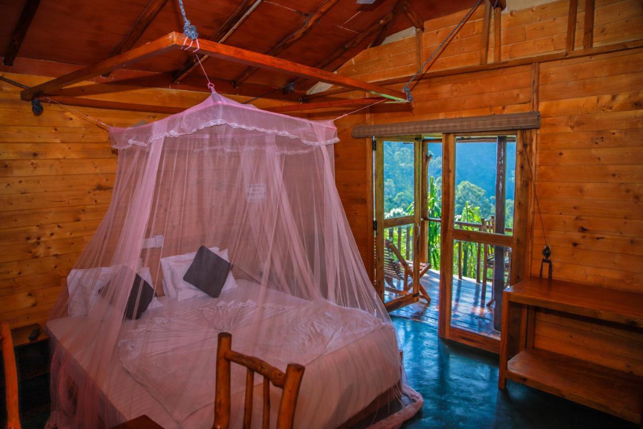 Bed & Breakfast Bamboo