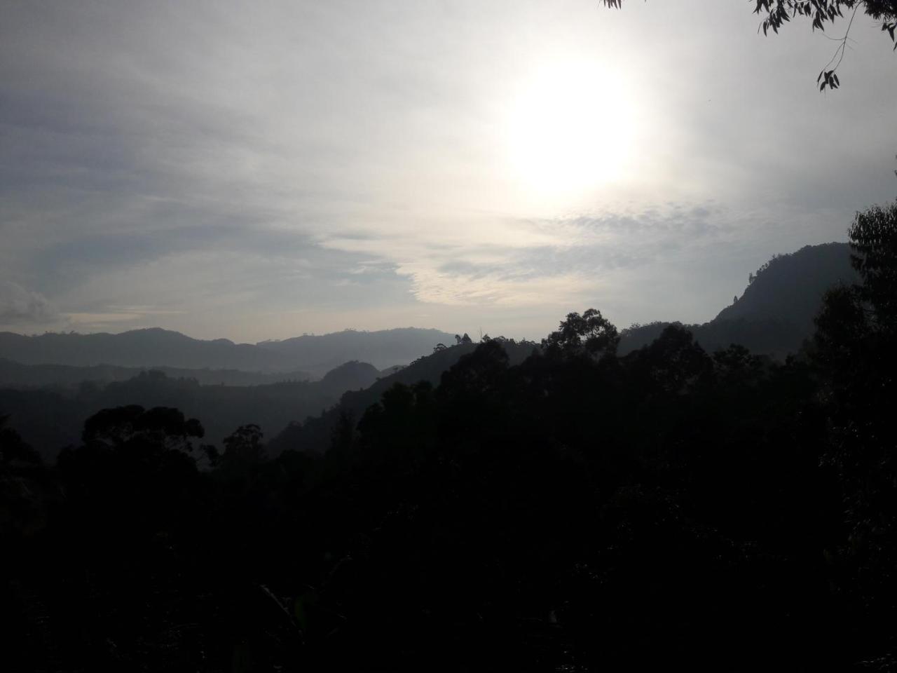 Homestay The 