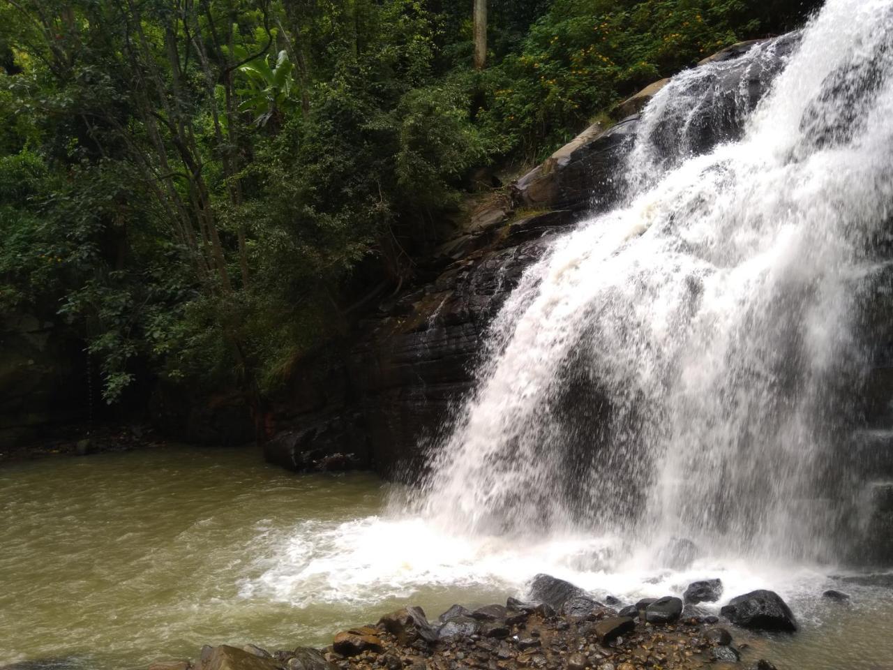 River Forest Nest Homestay Ella