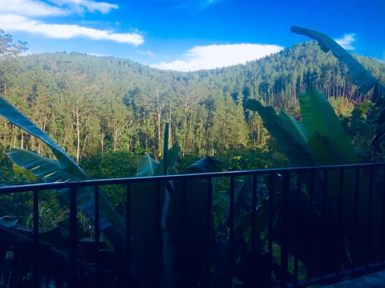 Silloam Holiday home
