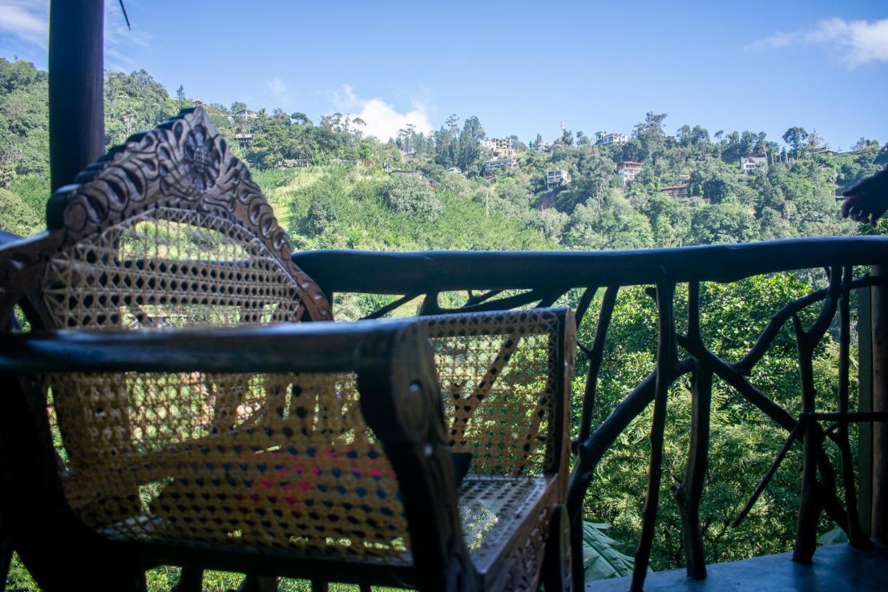 Homestay Naturewoodland