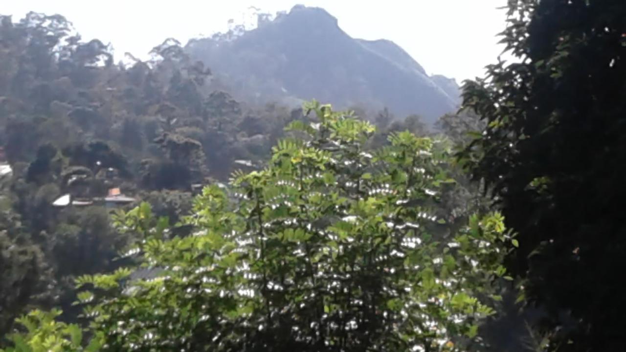 Homestay Joys