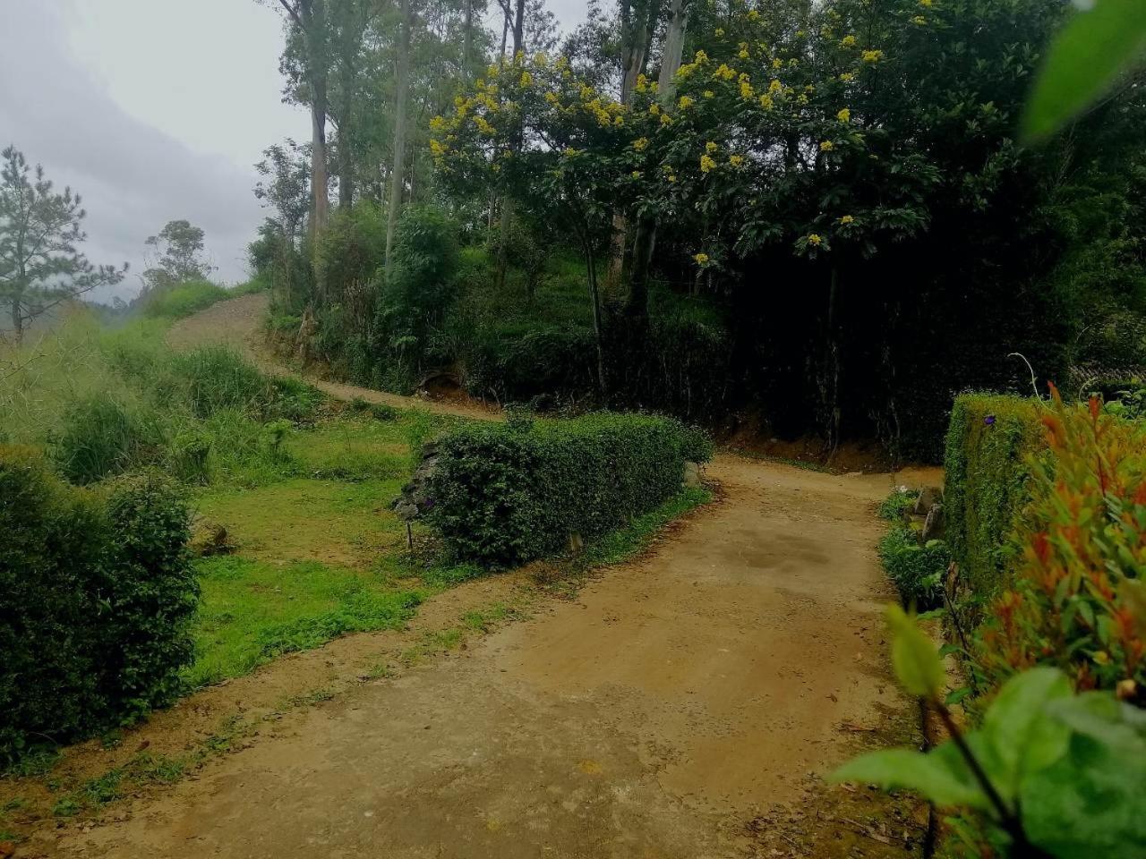 Upper Hill