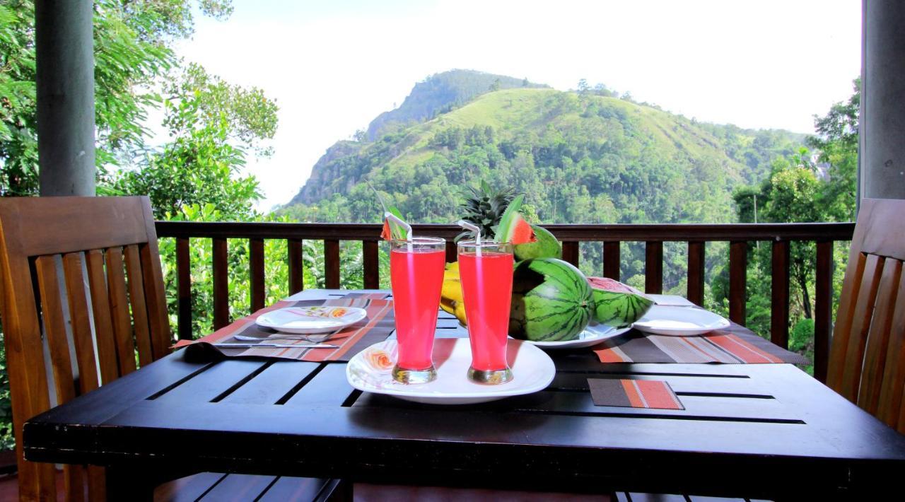 Bed & Breakfast Blue Ribbon *