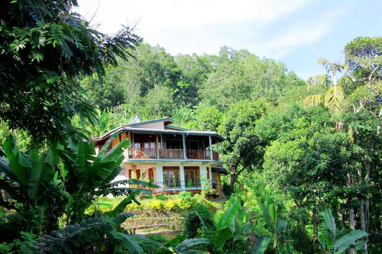 Blue Ribbon Bed & Breakfast *