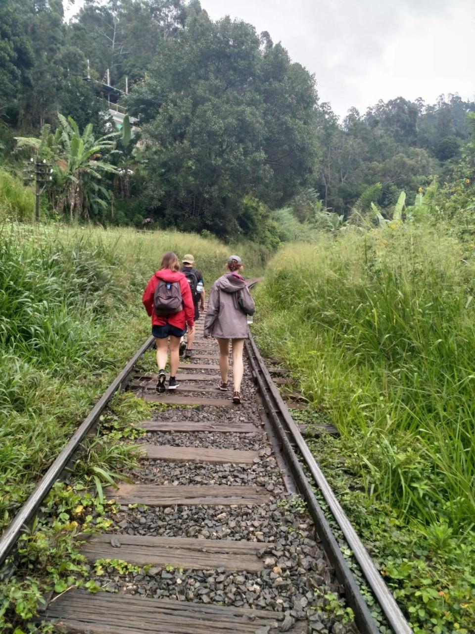 Homestay Sen - Rose *