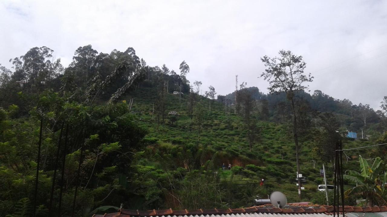 Homestay Joys